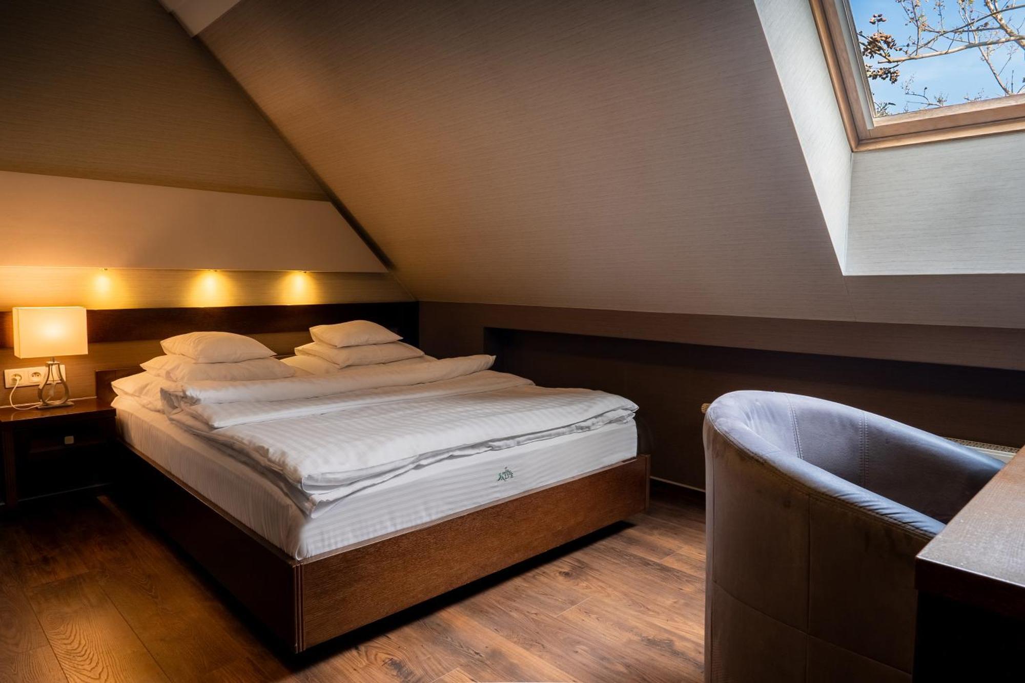 Hotel Salve Glogowek المظهر الخارجي الصورة